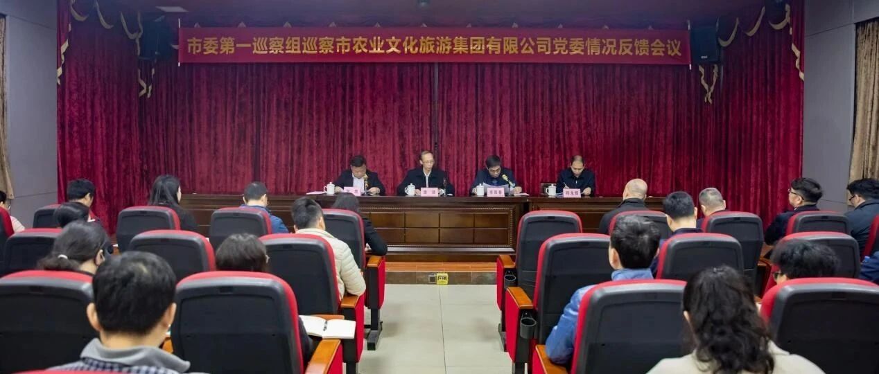 市委第一巡察组向市农业文化旅游集团有限公司党委反馈巡察情况