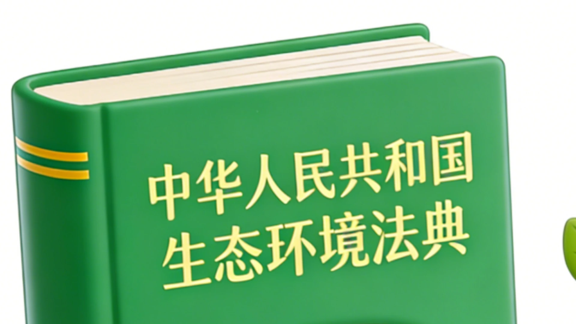 《中华人民共和国生态环境法典》自8月15日起施行，垃圾分类立下“硬规矩”