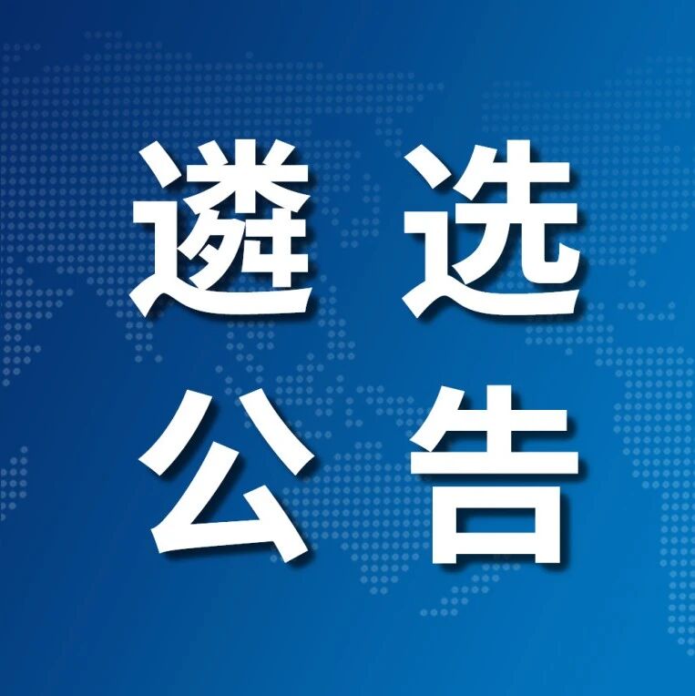 关于开展采购茂名市乡村振兴产业融合示范基地项目地基基础—桩基础检测设备运输吊装服务的遴选公告