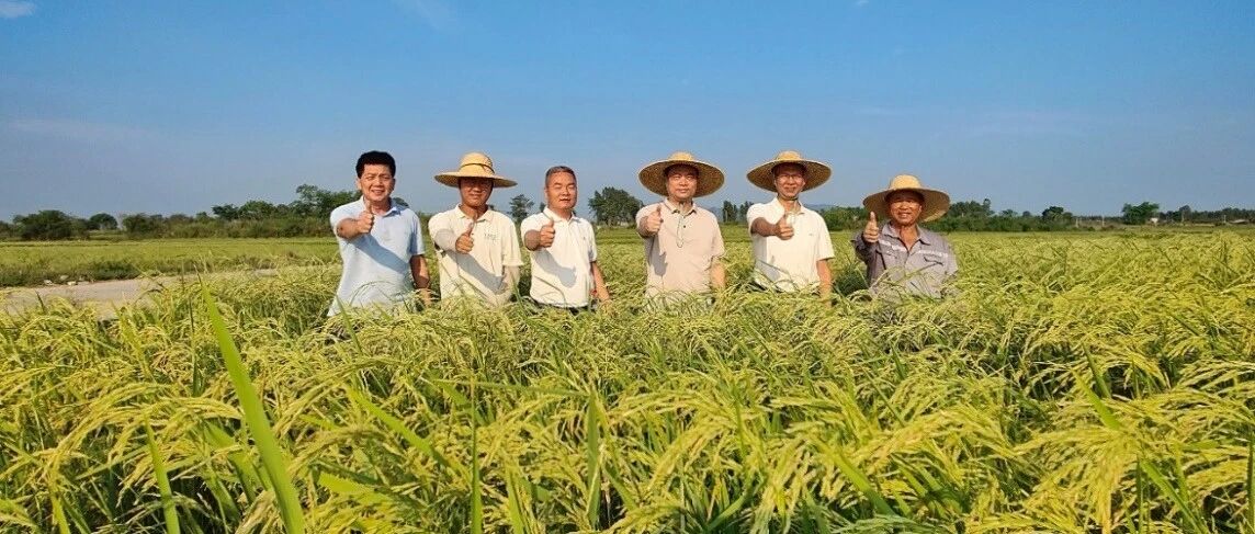 市农文旅集团领导带队赴华茂高科海南种子南繁基地考察指导赋能种业高质量发展丨充分肯定发展成效推动基地优化升级