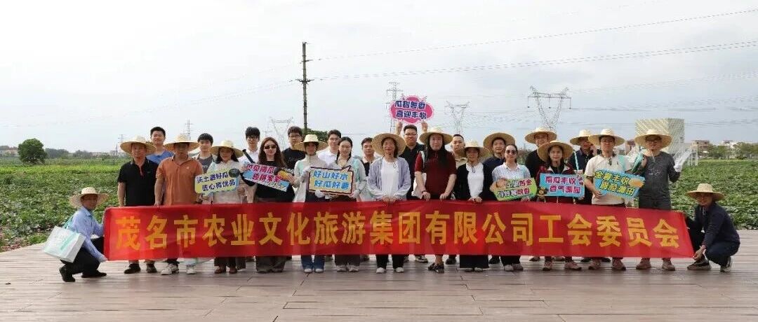 "助农惠农办实事 田间采摘暖人心"——市农文旅集团工会组织开展职工助农采摘实践活动